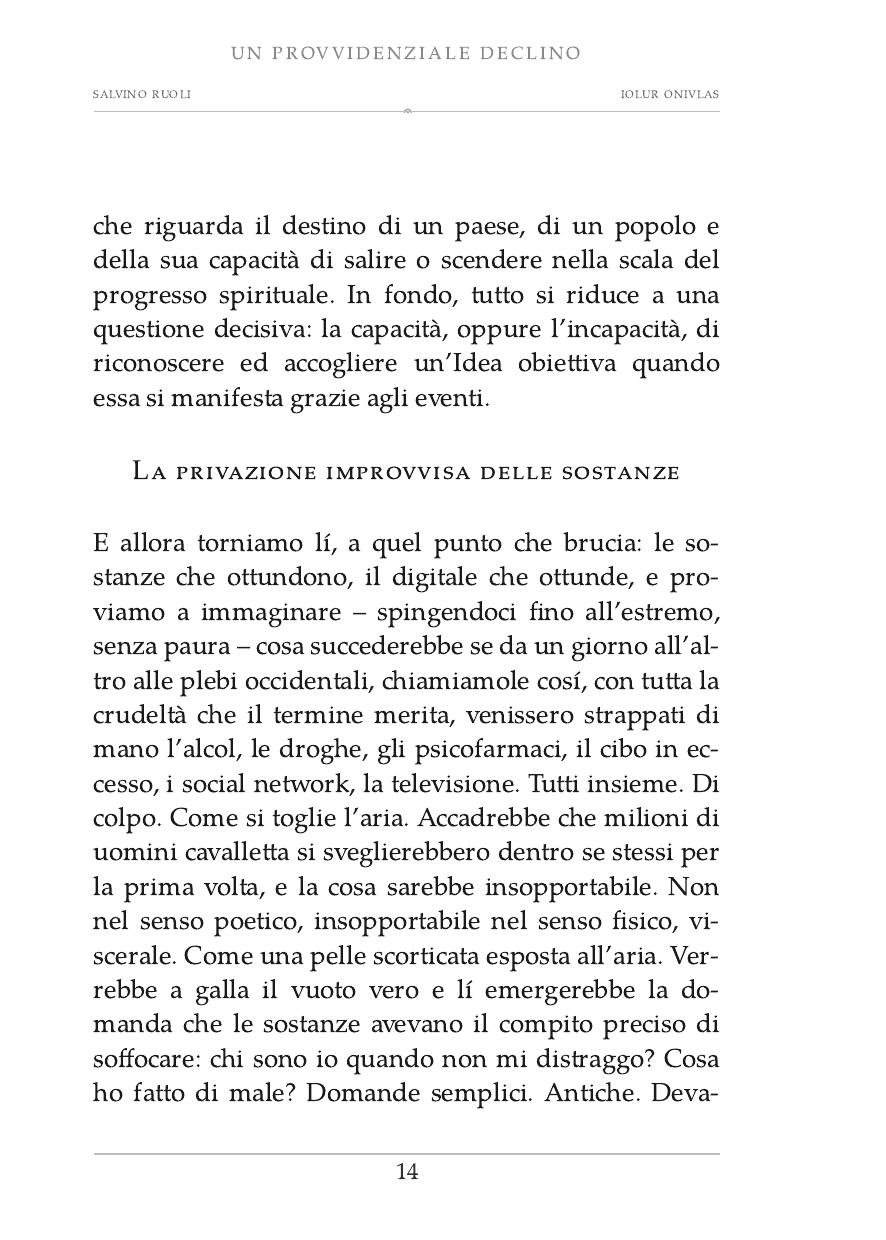 Salvino Ruoli, Un provvidenziale declino, pagina 14